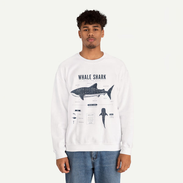 Whale Shark Anatomy Sweatshirt — Marine Life Illustration Crewneck