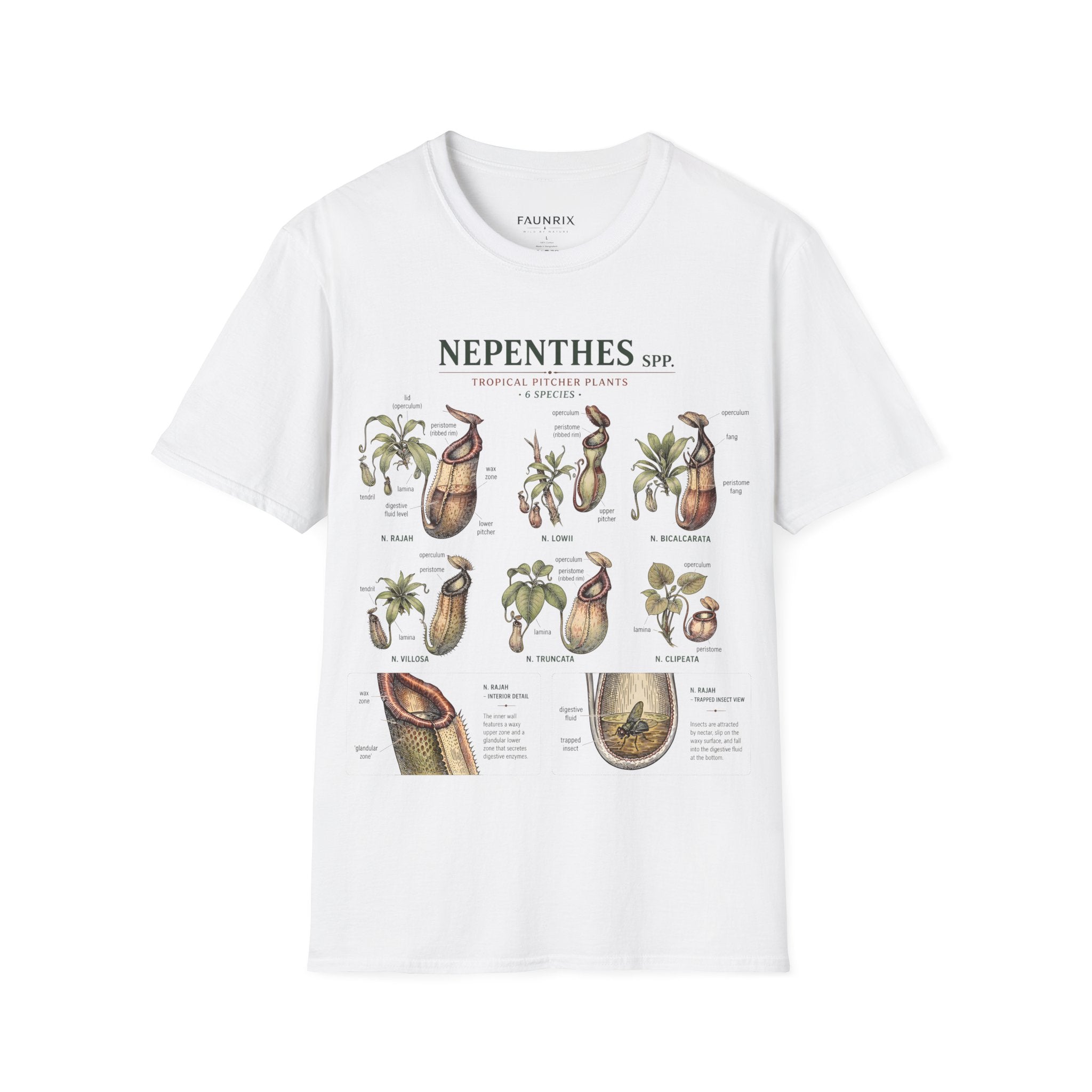 Nepenthes Botanical Tee — Carnivorous Pitcher Plant Anatomy Shirt Secondary image