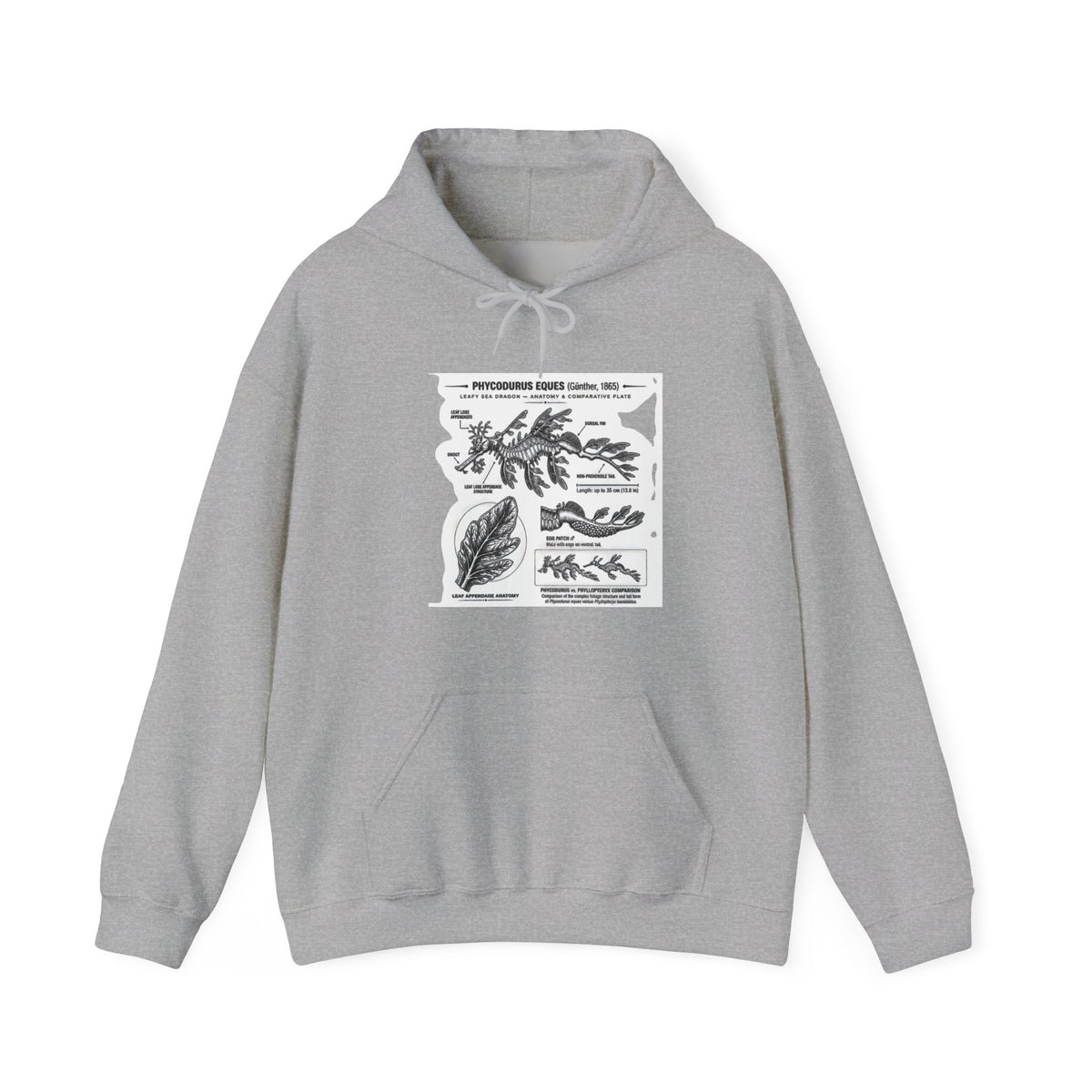 Botanical Anatomy Hoodie — Vintage Plant Diagram Sweatshirt