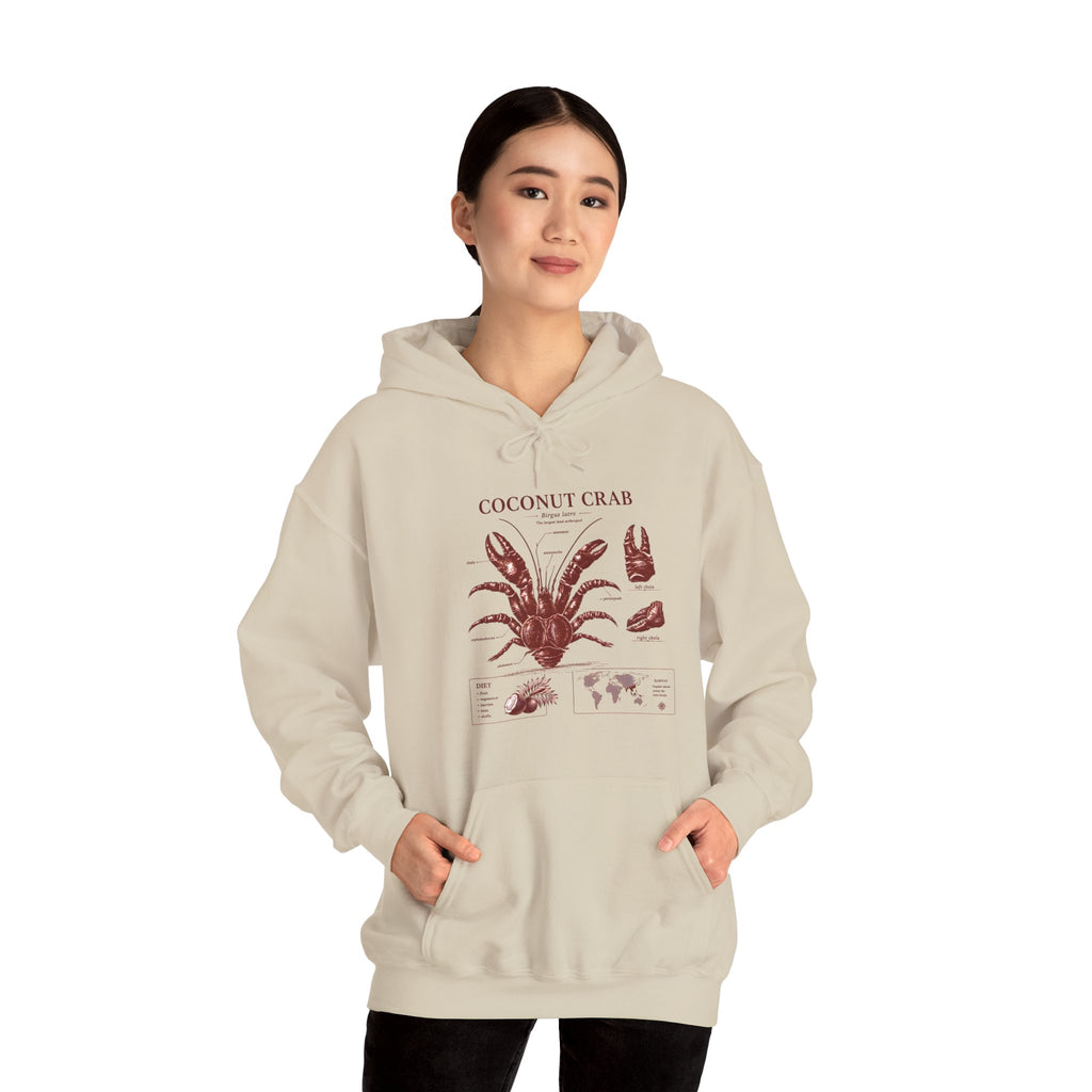Coconut Crab Anatomy Hoodie — Vintage Botanical & Marine Study Print