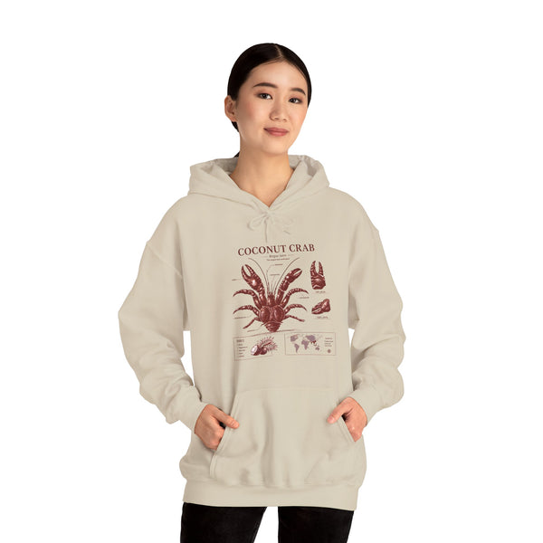 Coconut Crab Anatomy Hoodie — Vintage Botanical & Marine Study Print