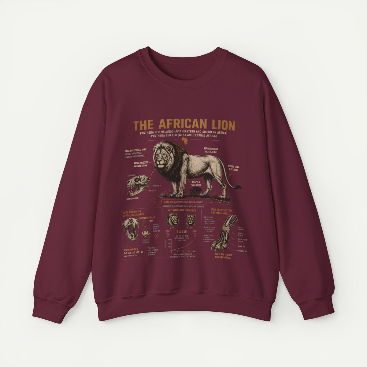 African Lion Anatomy Crewneck Sweatshirt