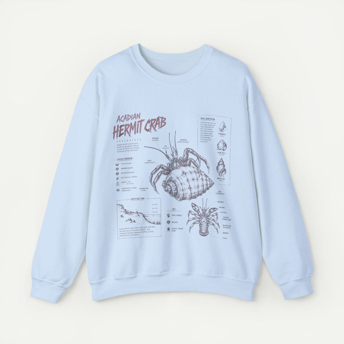 Hermit Crab Anatomy Sweatshirt — Acadian Hermit Crab Illustration