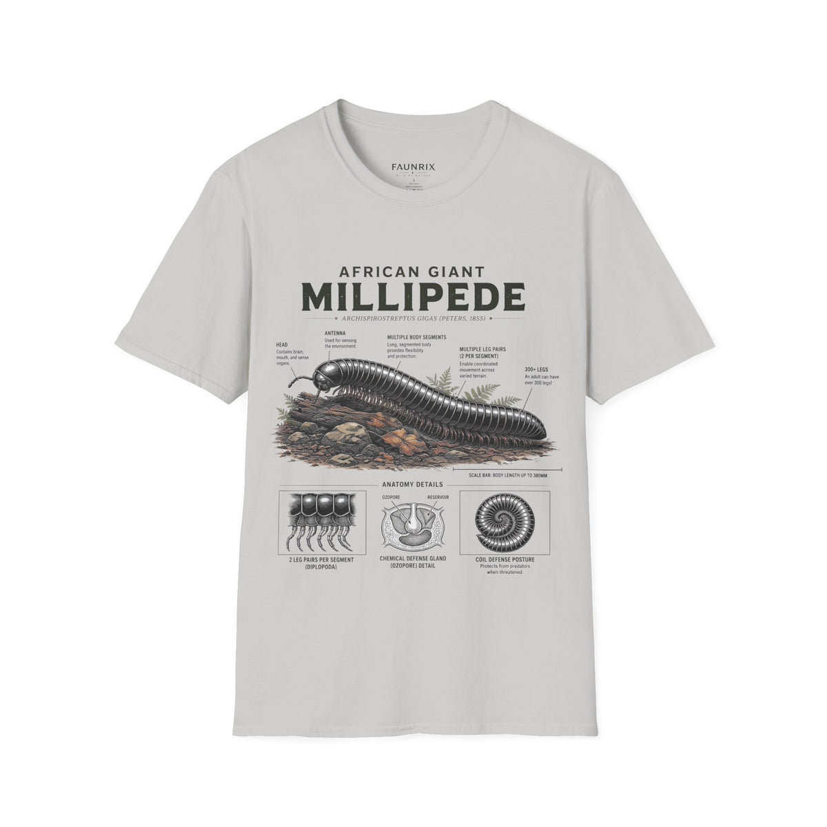 Millipede Anatomy T-Shirt — 'African Giant Millipede' Scientific Graphic Tee