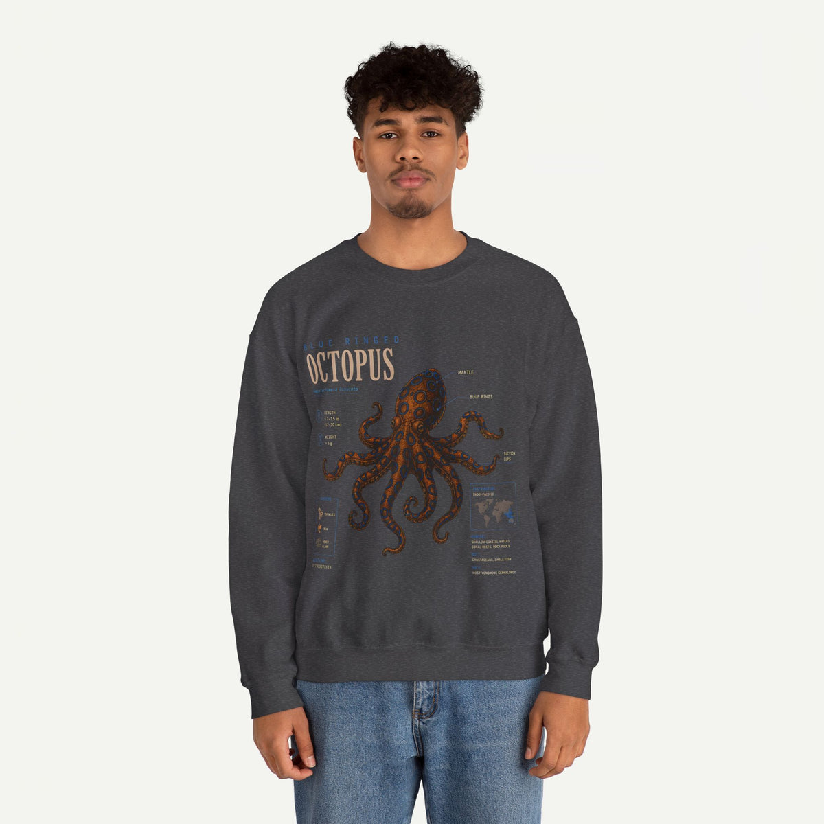 Octopus Anatomy Sweatshirt — Vintage Marine Illustration Crewneck