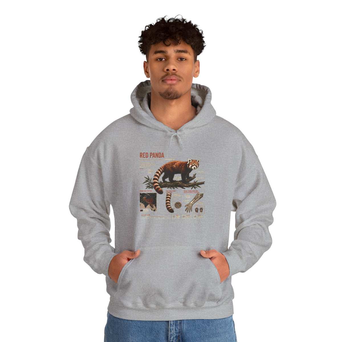 Red Panda Anatomy Hoodie — Vintage Wildlife Guide Sweatshirt