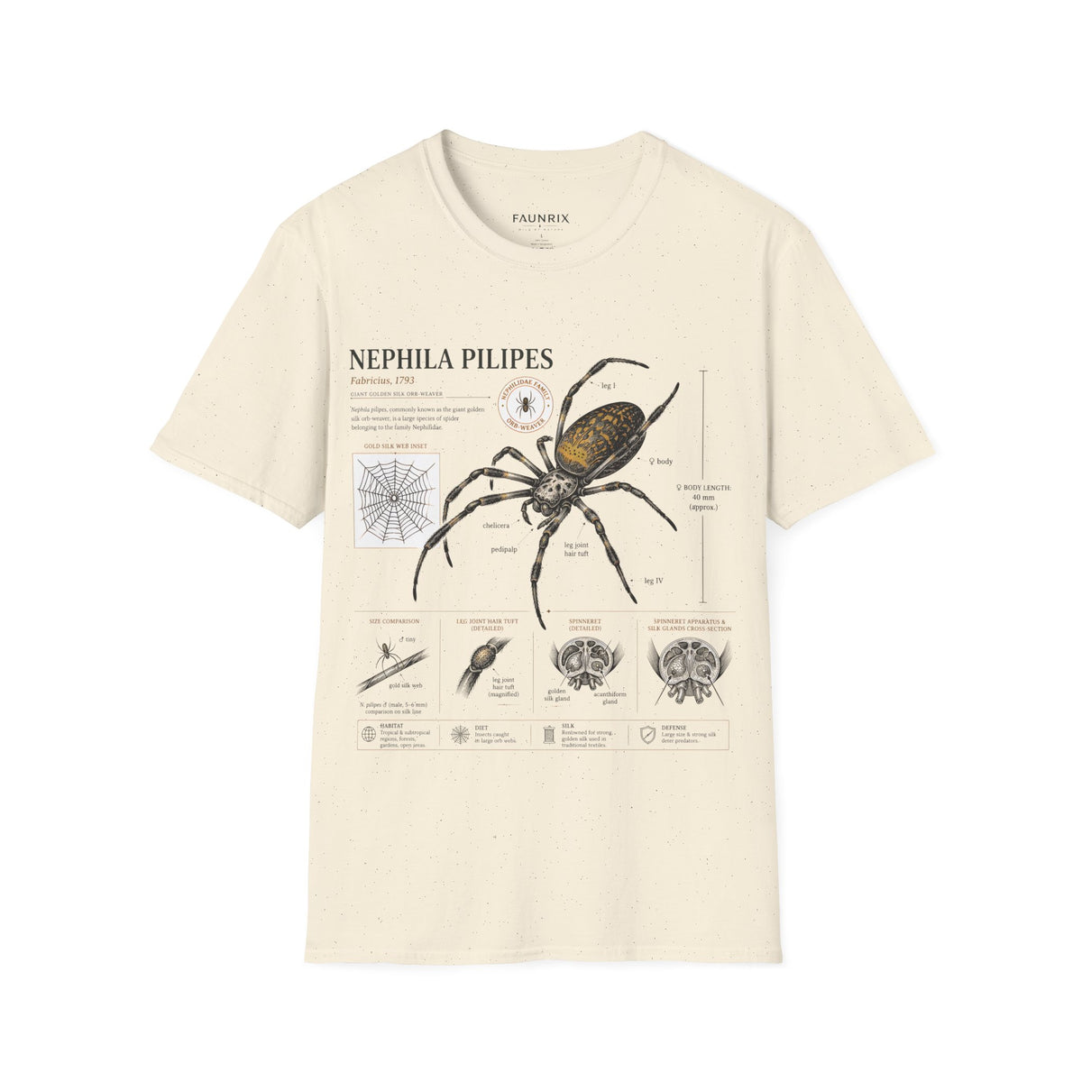 Spider Anatomy T-Shirt — Epephila Pilipis Scientific Illustration Tee
