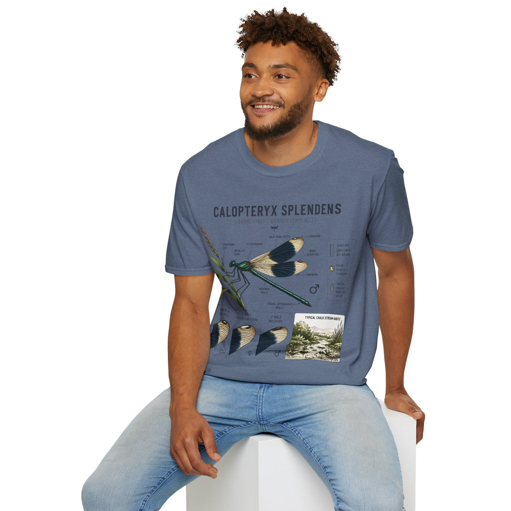 Calopteryx Splendens Anatomy T-Shirt
