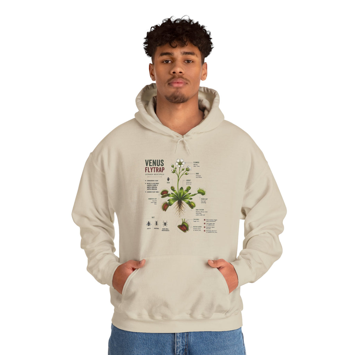 Venus Flytrap Botanical Hoodie – Illustrated Carnivorous Plant Guide