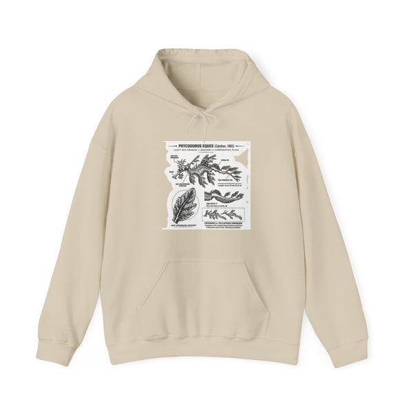 Botanical Anatomy Hoodie — Vintage Plant Diagram Sweatshirt