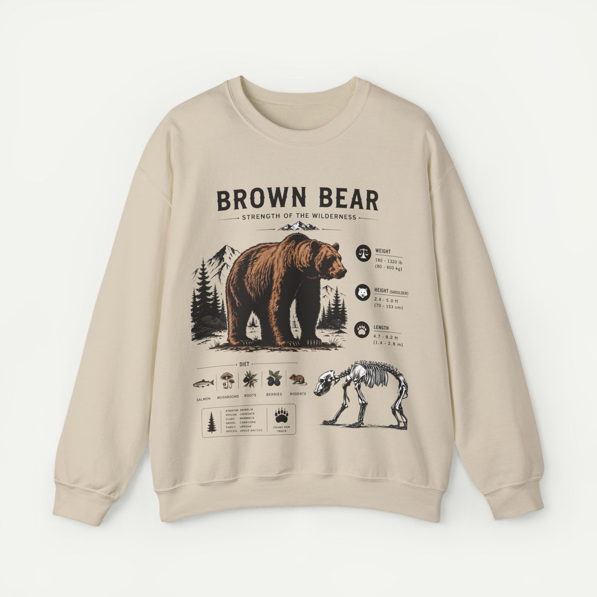 Brown Bear Anatomy Sweatshirt — Wildlife Illustration Graphic Sweatshirt