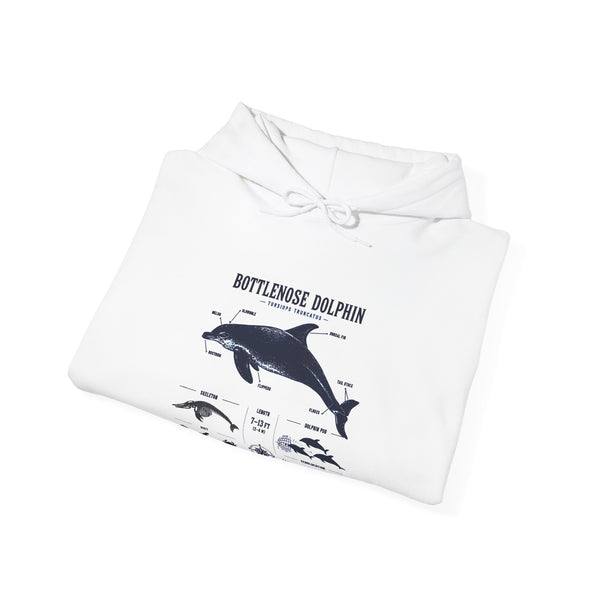 Bottlenose Dolphin Diagram Hoodie – Marine Life Anatomy Sweatshirt