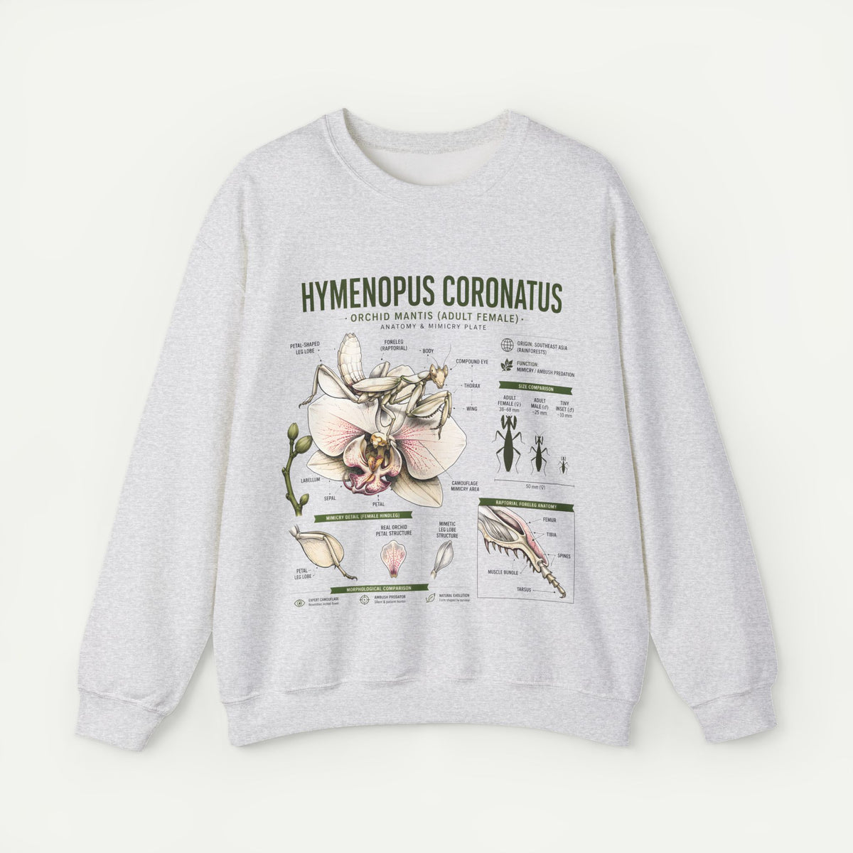 Botanical Anatomy Sweatshirt — Hymenopus Coronatus Illustration
