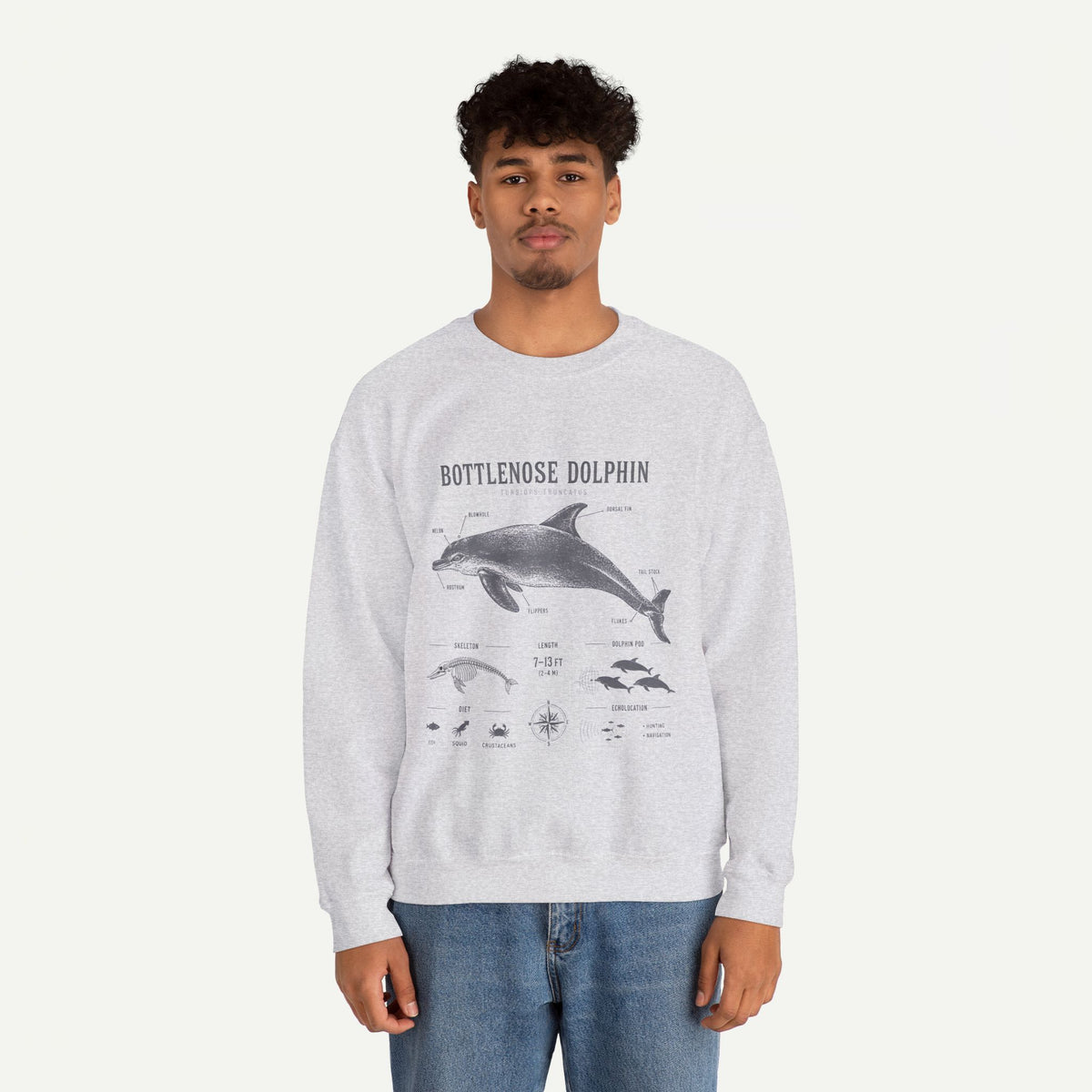 Bottlenose Dolphin Sweatshirt – Marine Life Educational Graphic