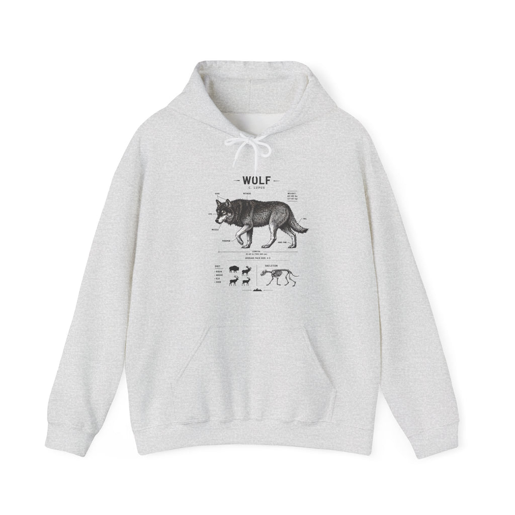 Wolf Anatomy Hoodie – Vintage Wildlife Diagram Sweatshirt