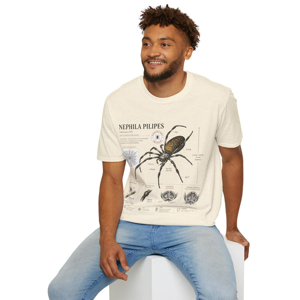 Spider Anatomy T-Shirt — Epephila Pilipis Scientific Illustration Tee