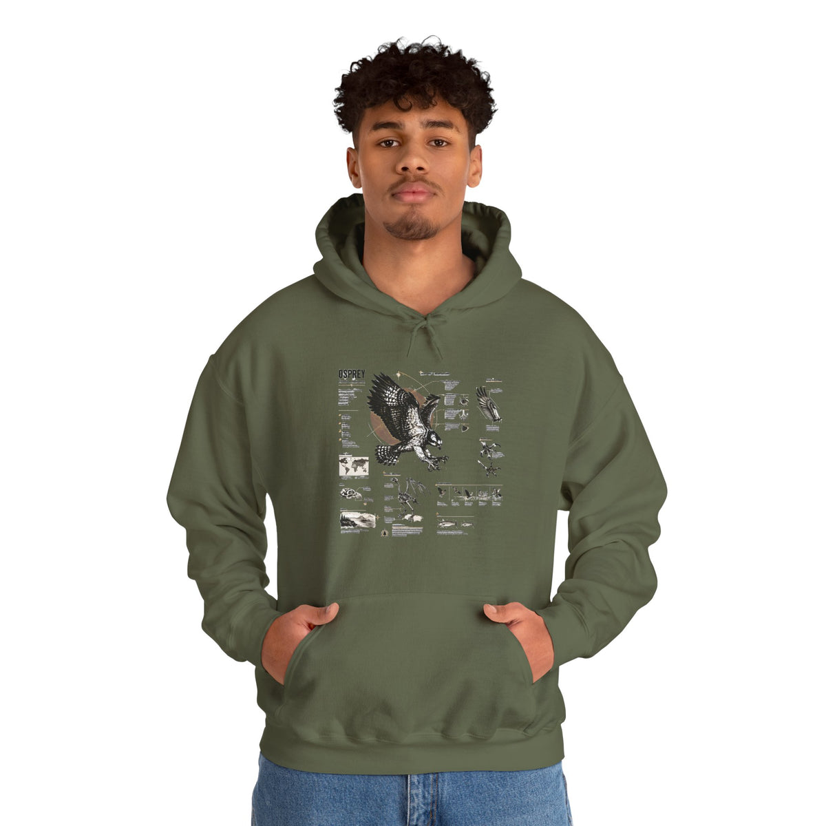Eagle Anatomy Hoodie — Vintage Ornithology Graphic Sweatshirt
