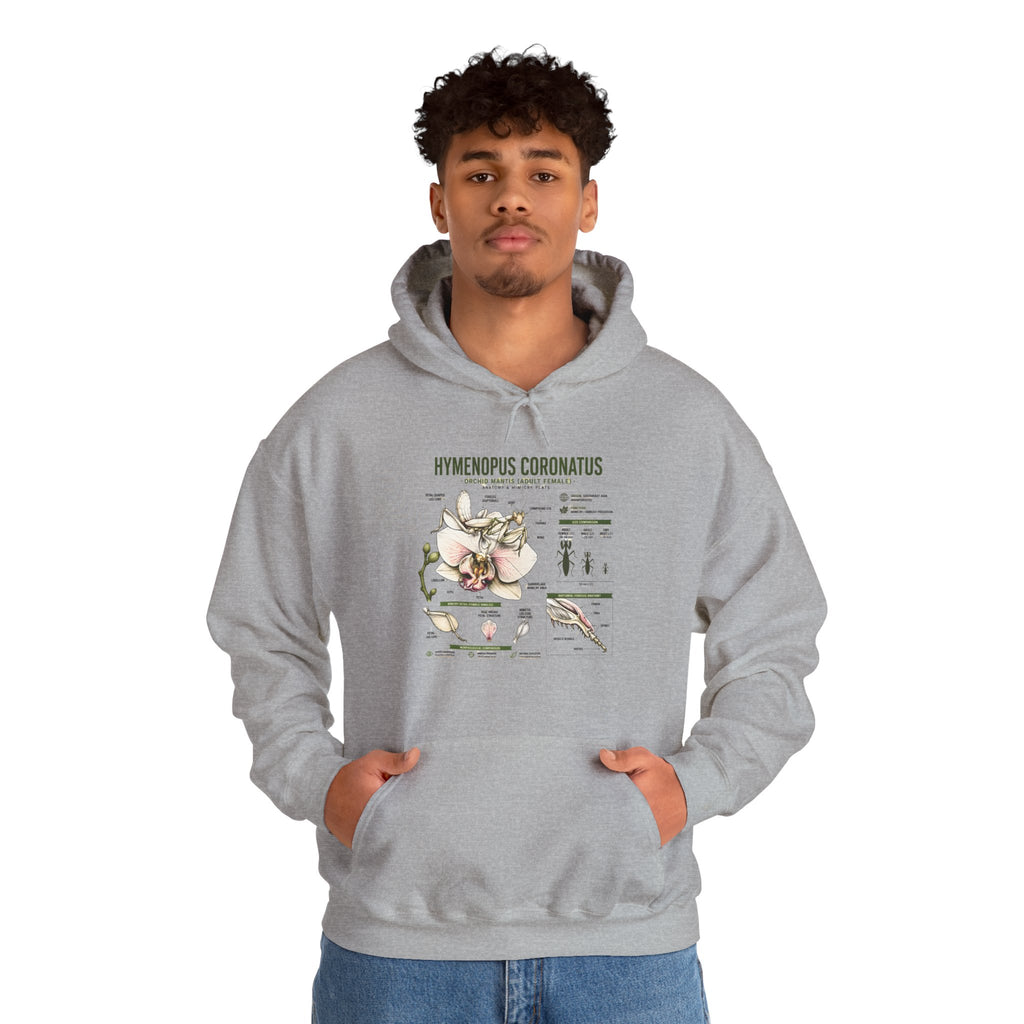 Botanical Hooded Sweatshirt — Hymenopus Coronatus Praying Mantis Illustration