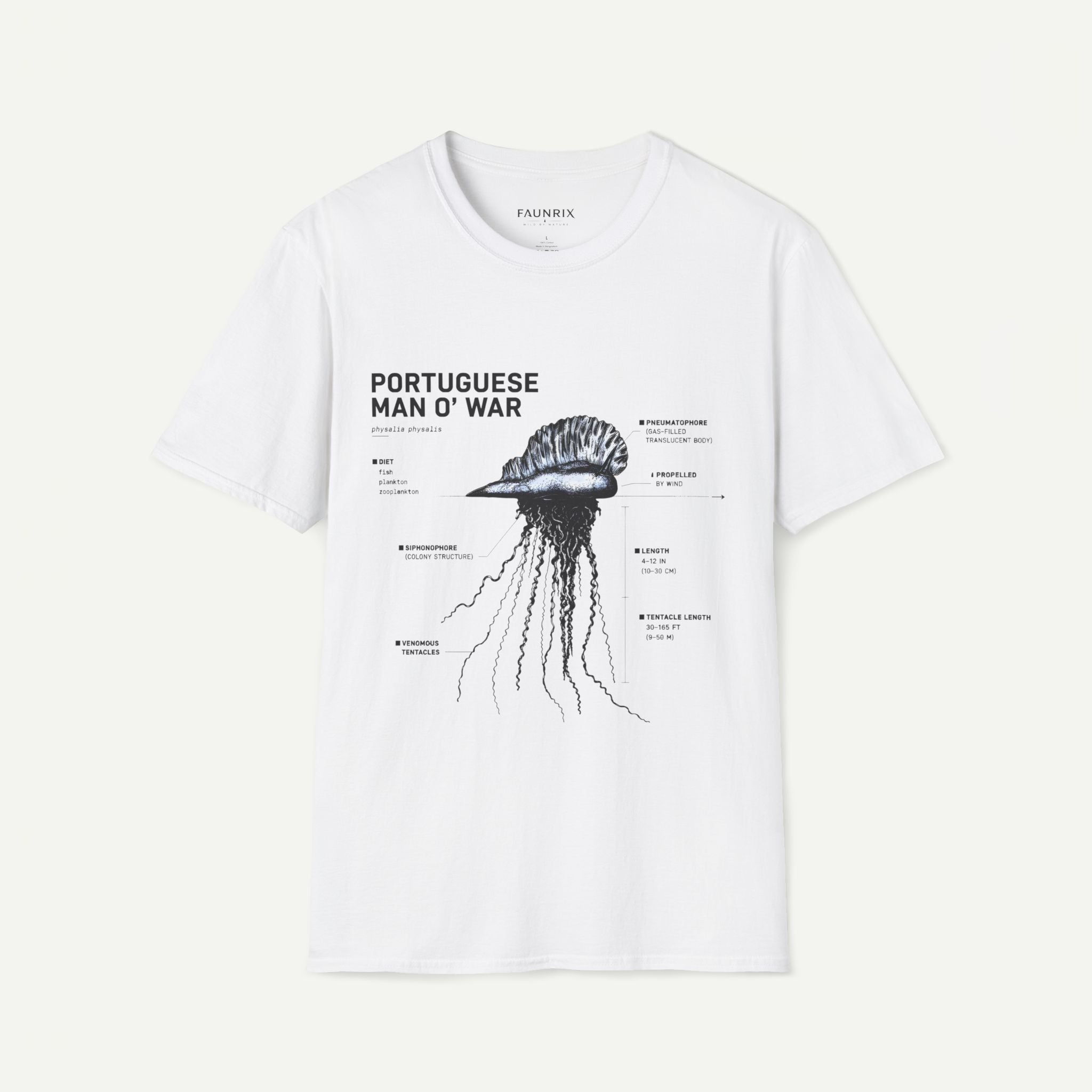 Portuguese Man O' War Anatomy T-Shirt — Marine Biology Graphic Tee Secondary image