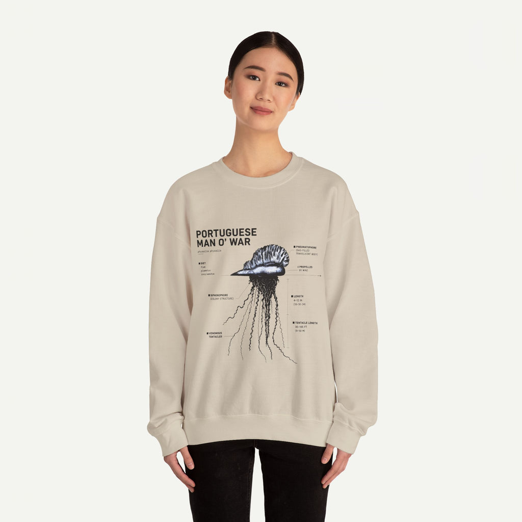 Portuguese Man O' War Anatomy Sweatshirt