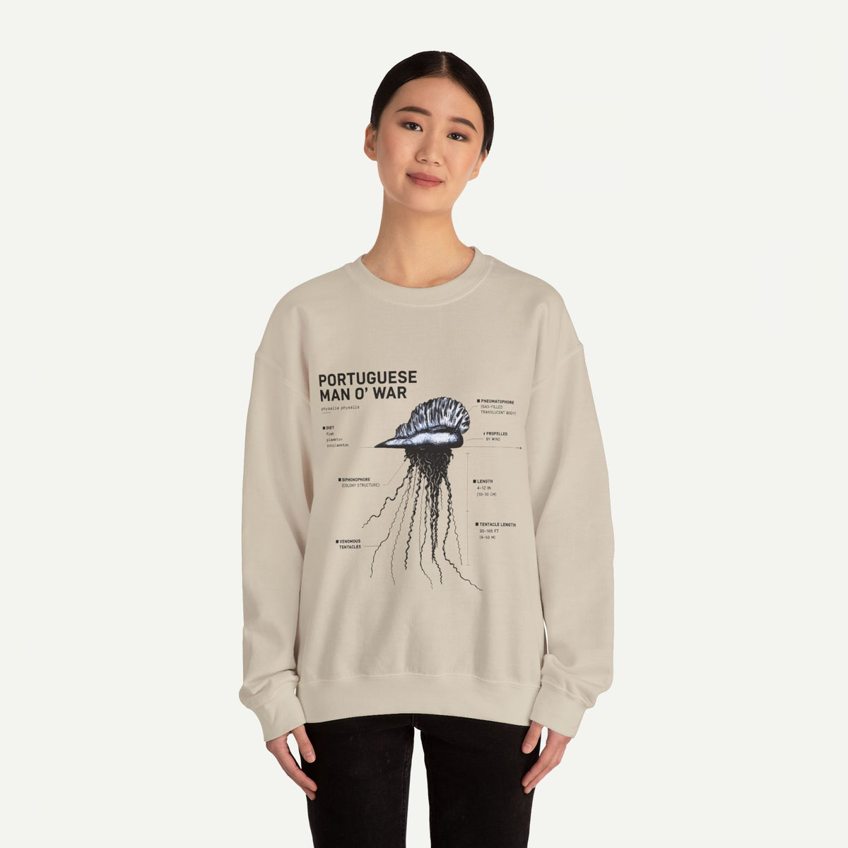 Portuguese Man O' War Anatomy Sweatshirt