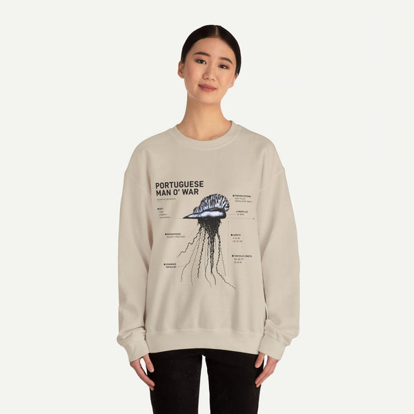 Portuguese Man O' War Anatomy Sweatshirt