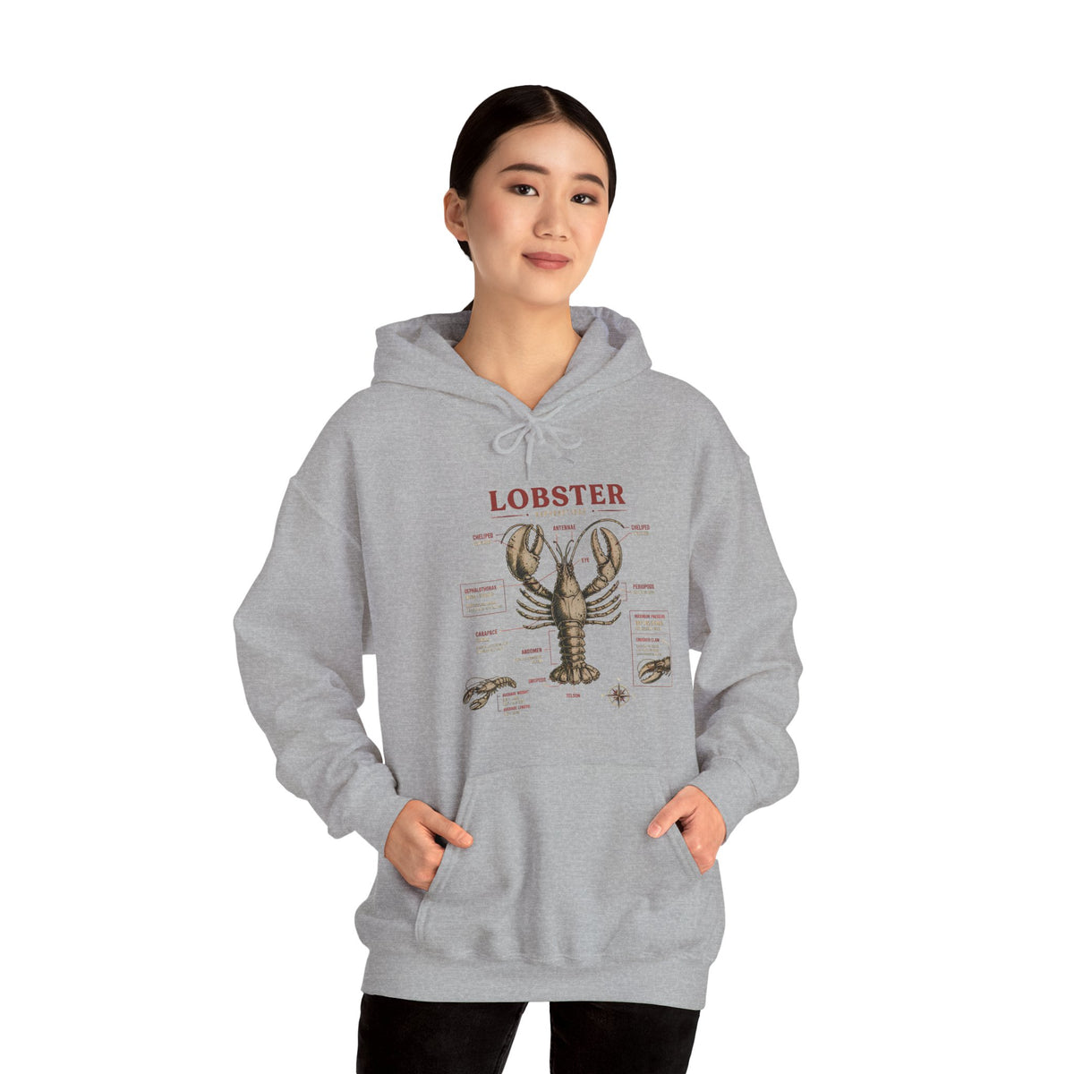 Lobster Anatomy Hoodie – Nautical Seafood Illustration Pullover