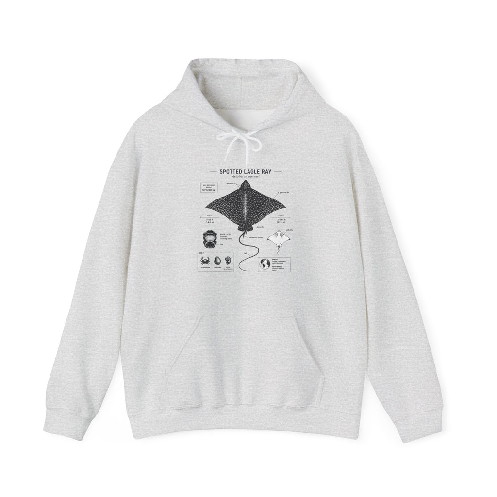 Manta Ray Anatomy Hoodie – Spotted Eagle Ray Diagram Sweatshirt