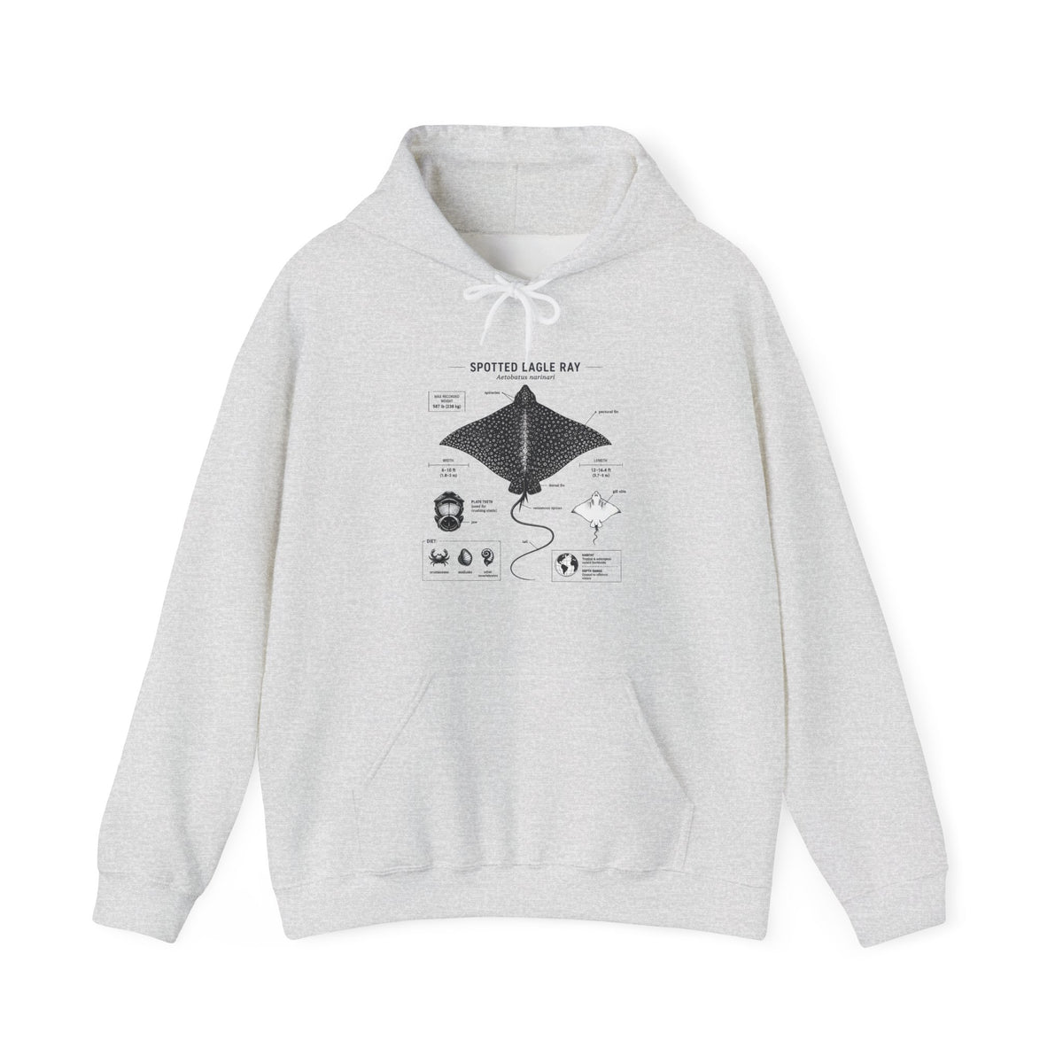 Manta Ray Anatomy Hoodie – Spotted Eagle Ray Diagram Sweatshirt