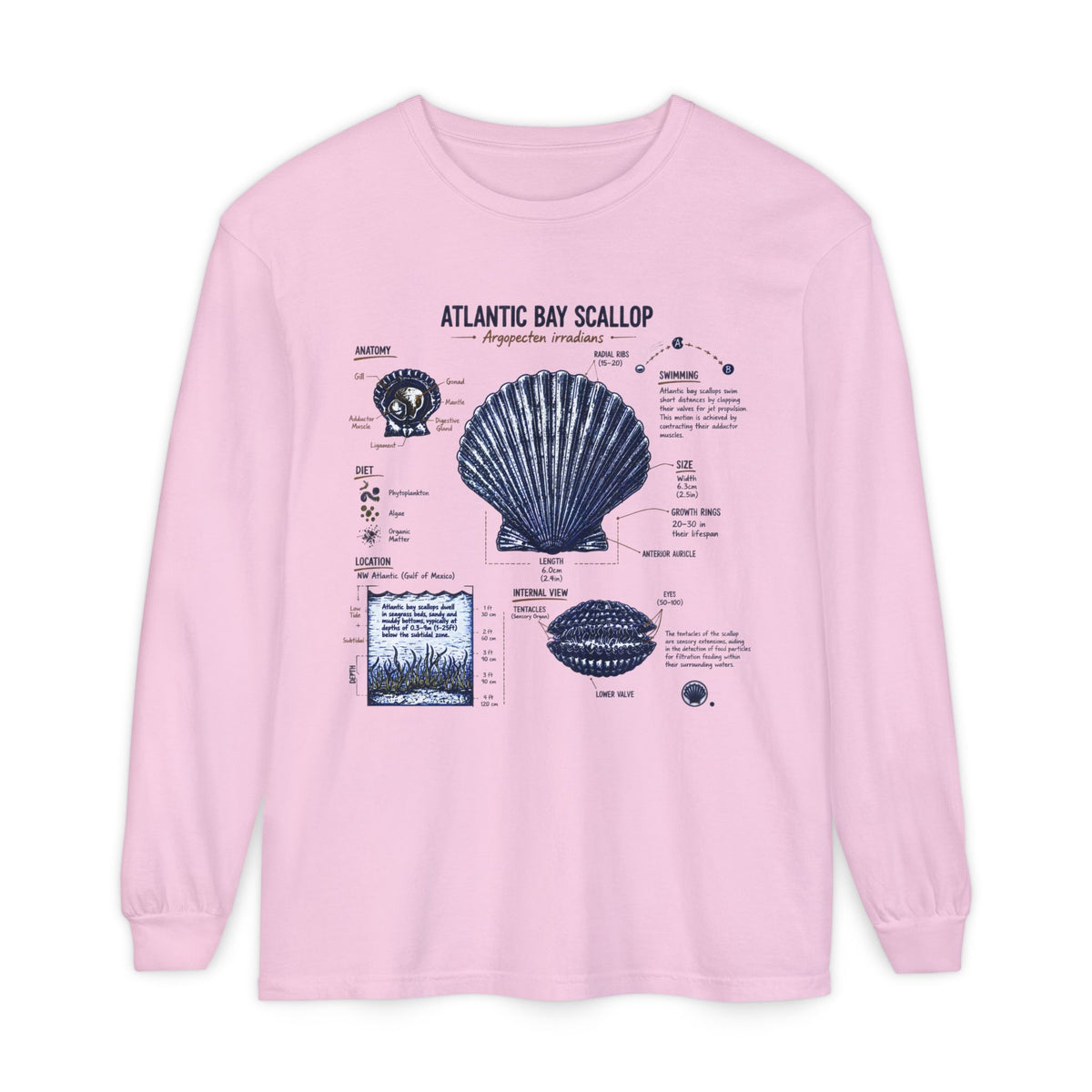 Atlantic Bay Scallop Shell Long Sleeve Tee - Scientific Shell Diagram