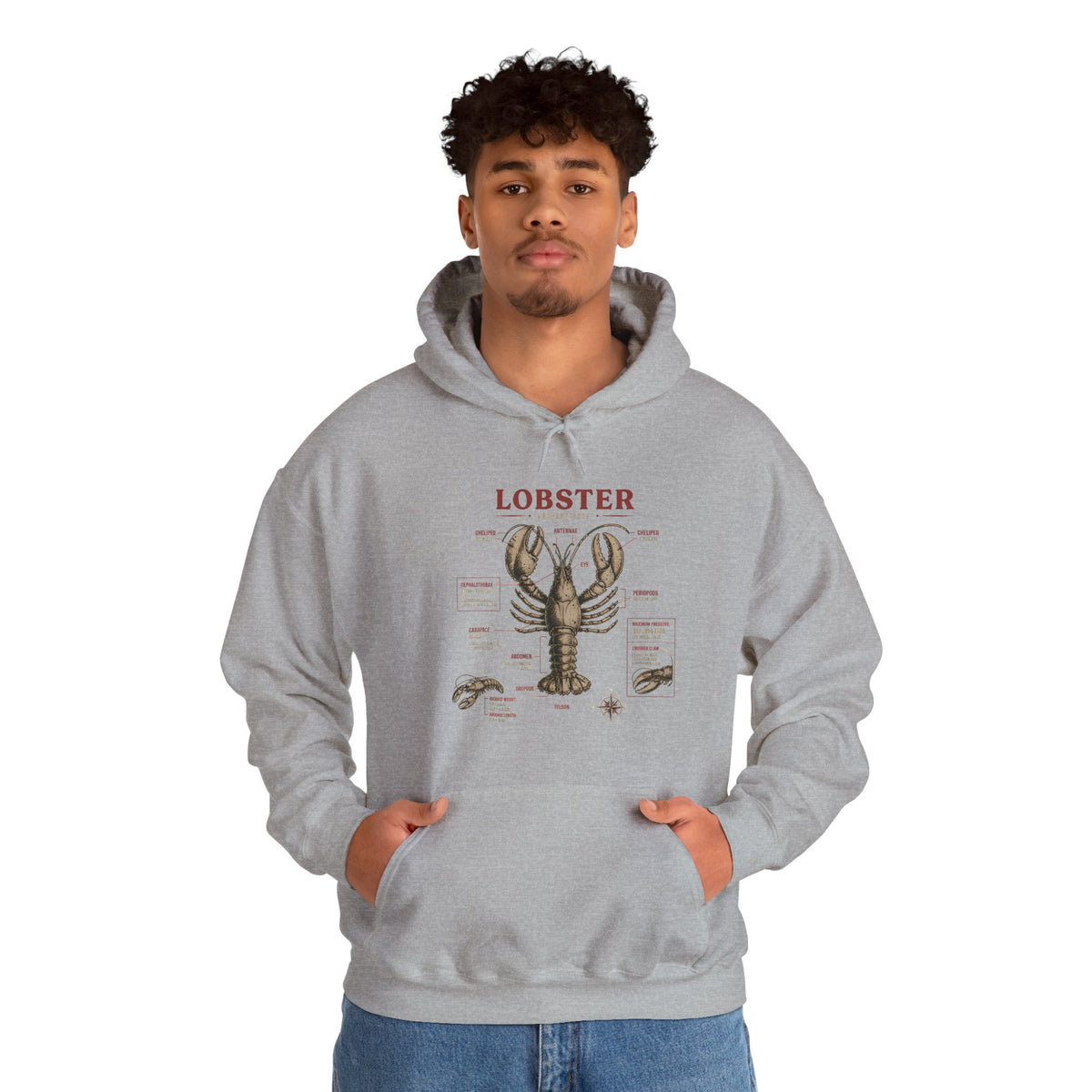 Lobster Anatomy Hoodie – Nautical Seafood Illustration Pullover