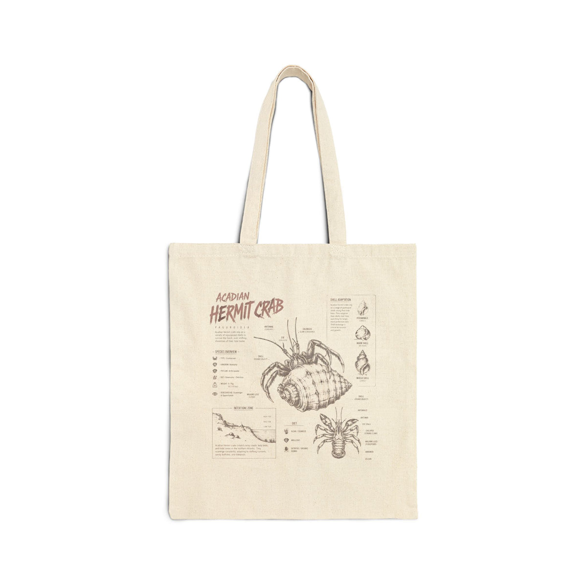 Hermit Crab Anatomy Canvas Tote Bag – Illustrated Marine Biology Tote Main image