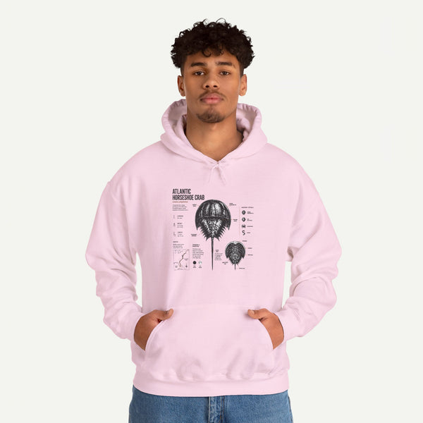 Horseshoe Crab Anatomy Hoodies