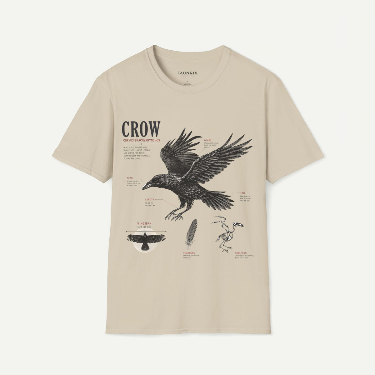 Crow Anatomy Graphic T-Shirt — Vintage Raven Illustration Tee