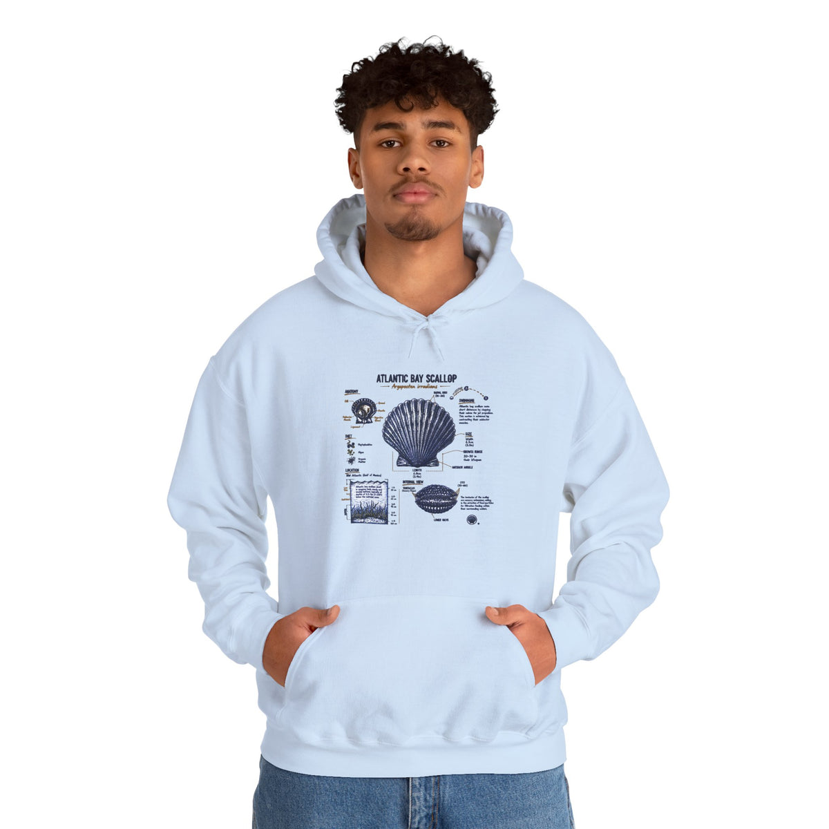 Seashell Anatomy Hoodie – Nautical Beach Diagram Sweatshirt