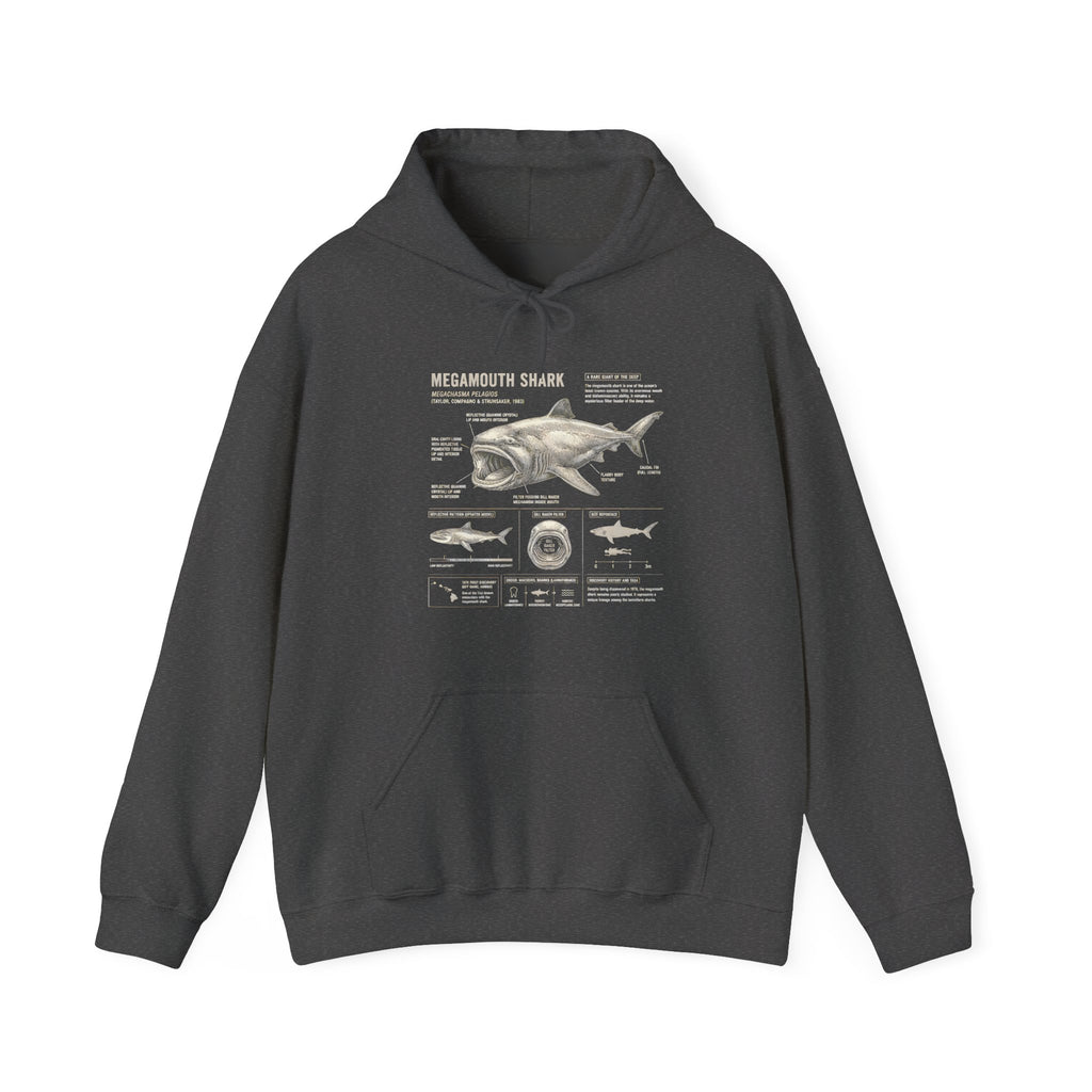 Shark Anatomy Hoodie — Vintage Megalodon Illustration Pullover