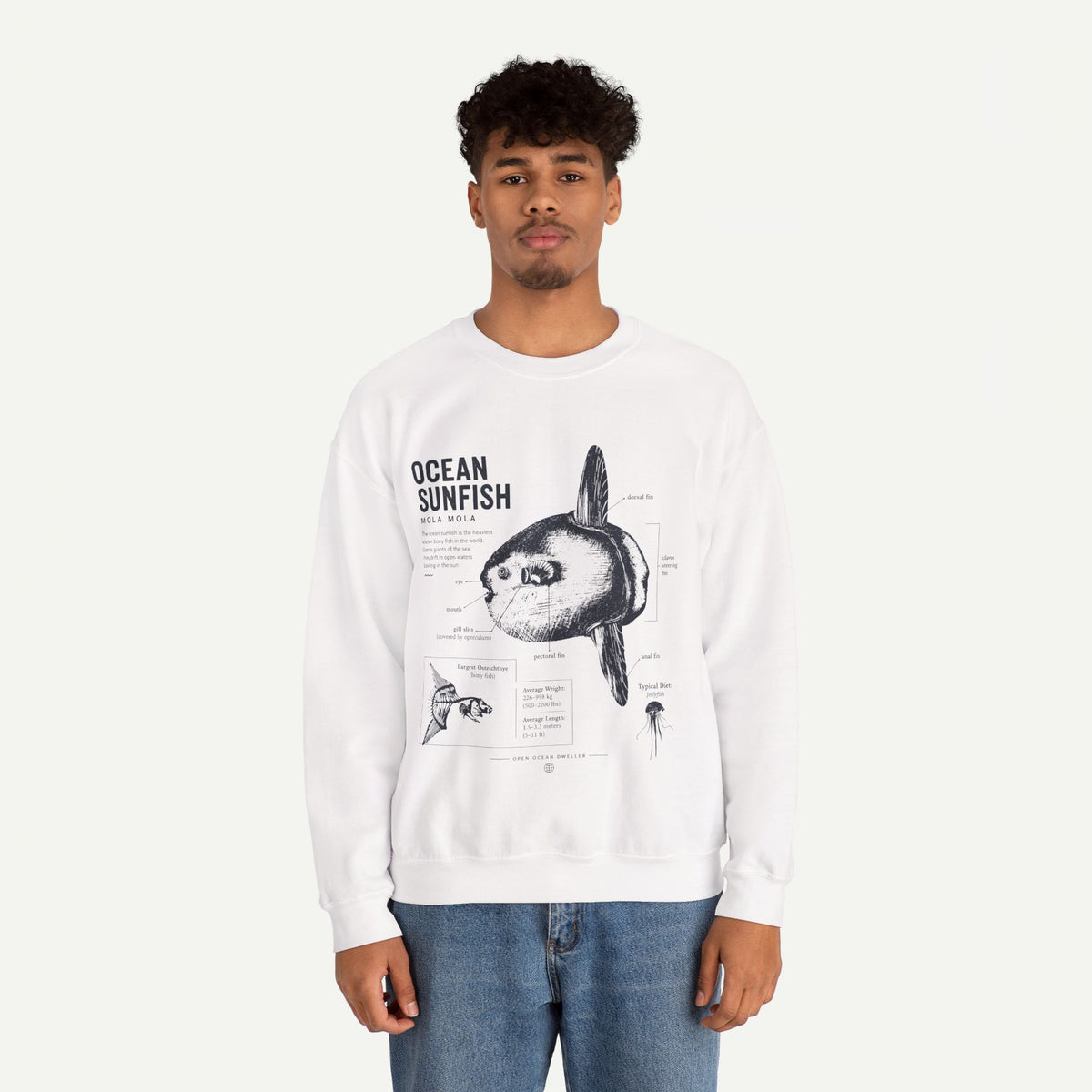 Ocean Sunfish Sweatshirt — Vintage Marine Illustration Pullover