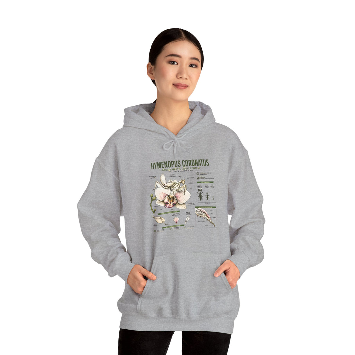 Botanical Hooded Sweatshirt — Hymenopus Coronatus Praying Mantis Illustration