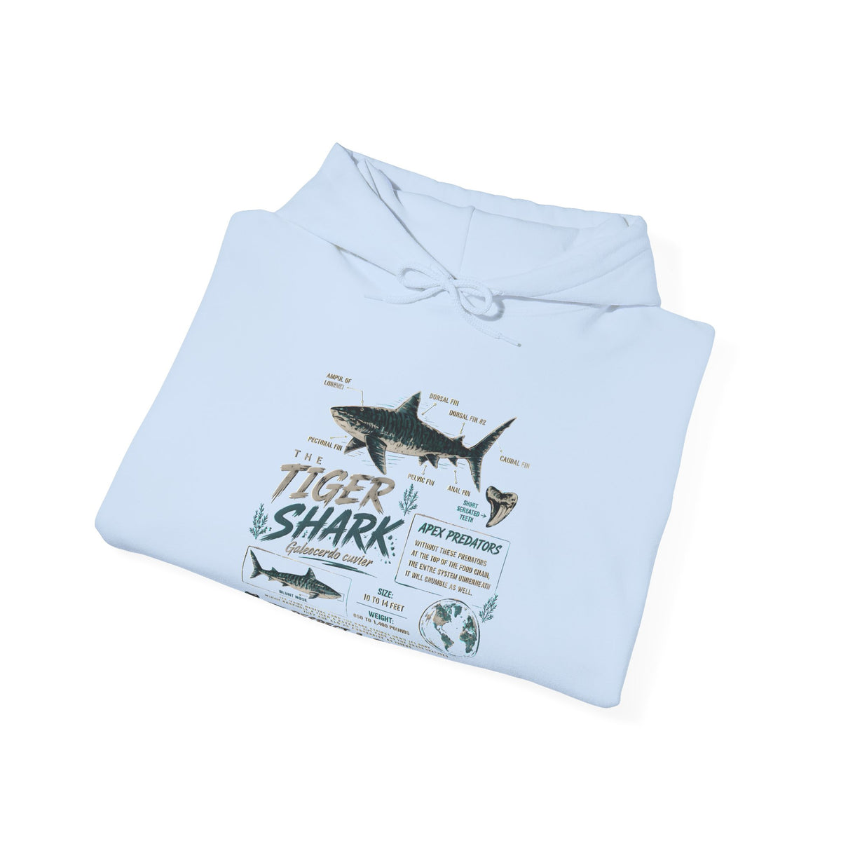 Tiger Shark Illustration Hoodie — Marine Biology Graphic Pullover (Tiger Shark Facts)