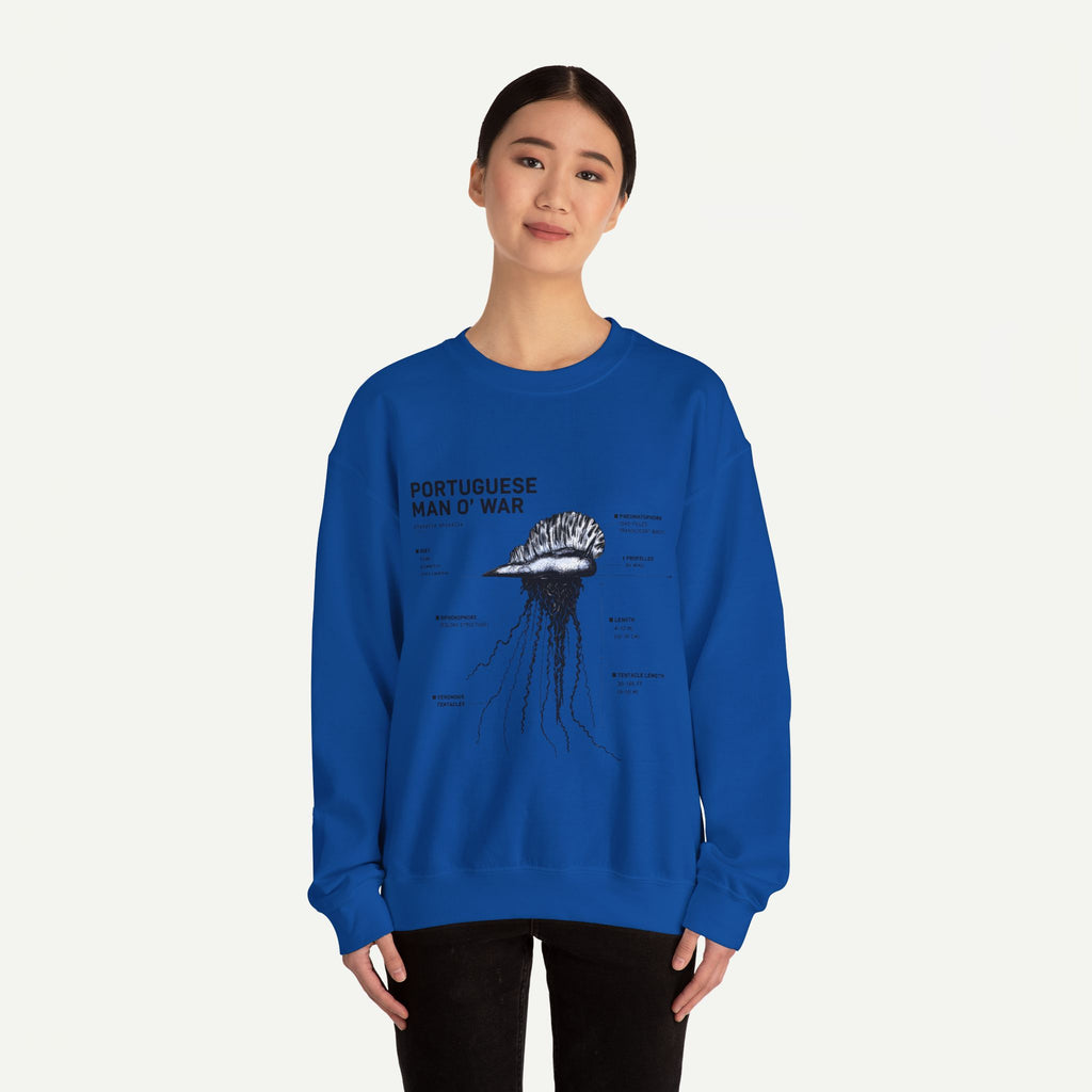 Portuguese Man O' War Anatomy Sweatshirt
