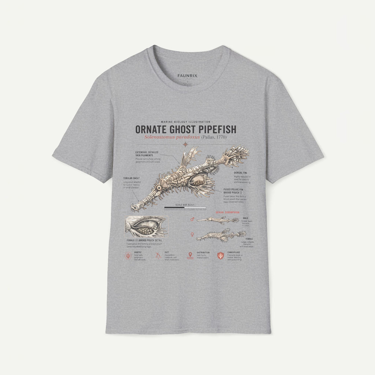 Ornate Ghost Pipefish Anatomy T-Shirt