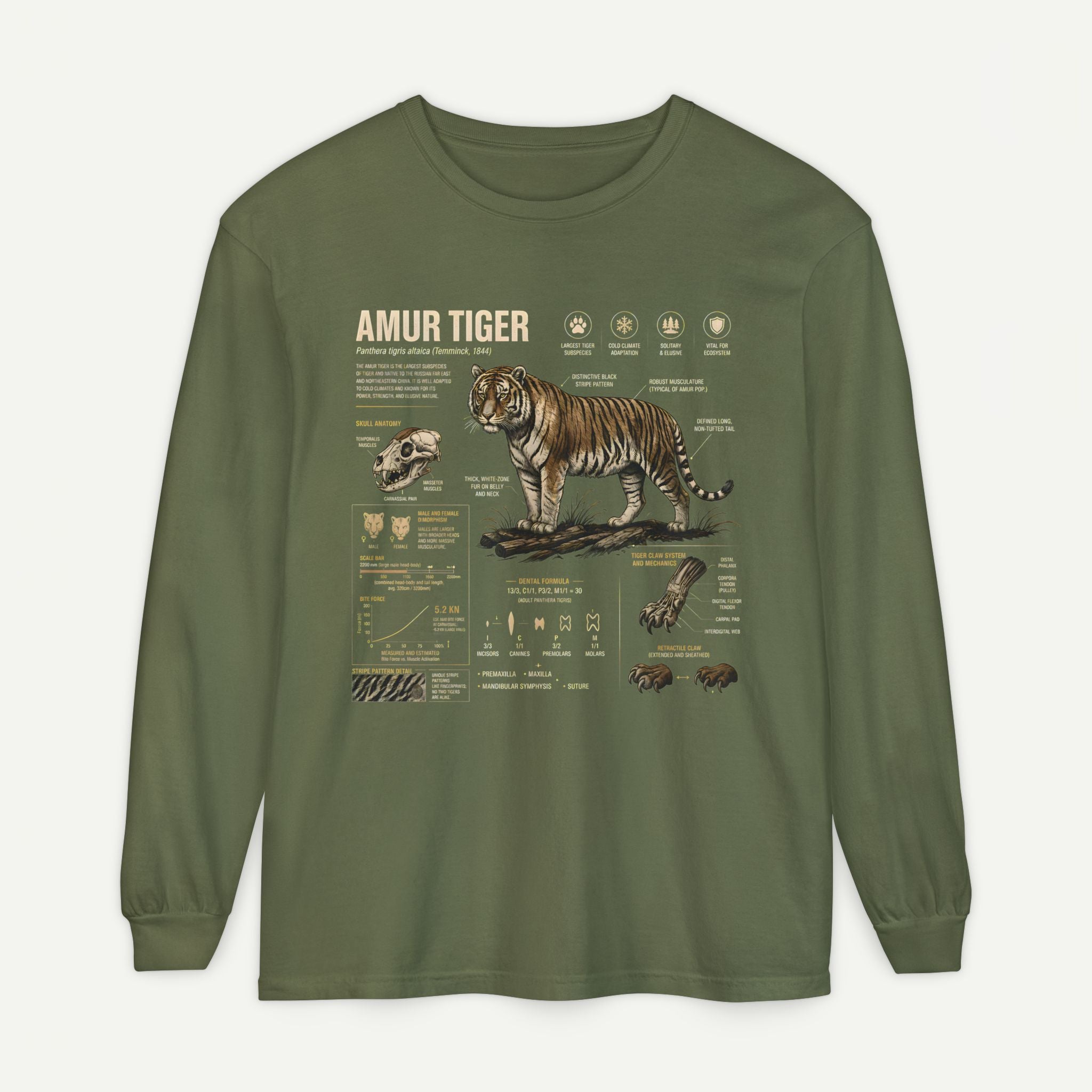 Amur Tiger Anatomy Long Sleeve Tee Secondary image
