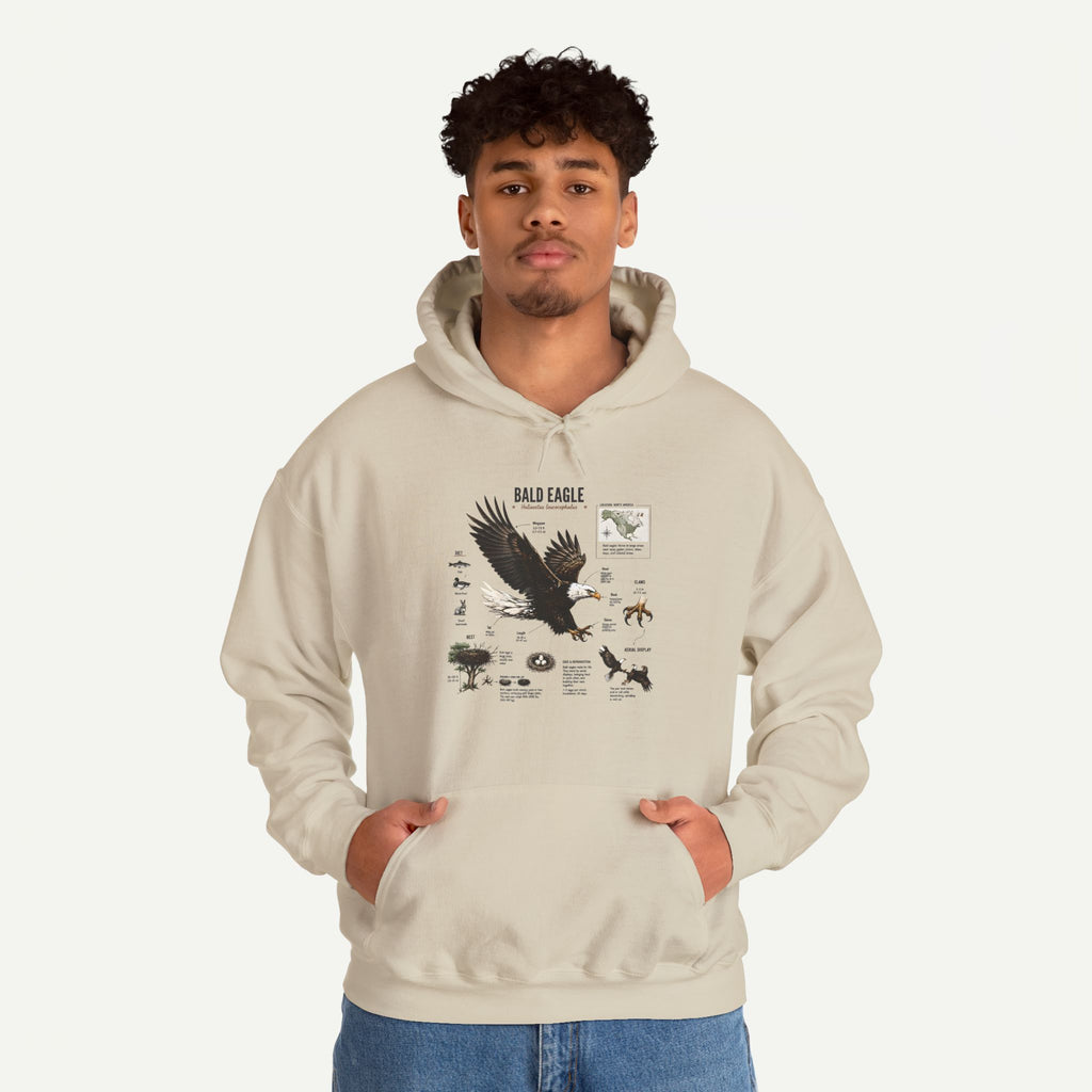 Eagle Graphic Hoodie — Bald Eagle Nature Print Sweatshirt