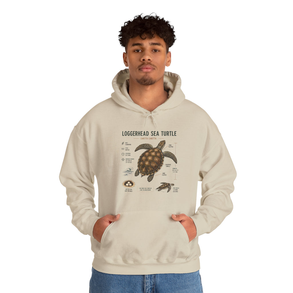 Loggerhead Sea Turtle Diagram Hoodie – Marine Biology Illustration Sweatshirt