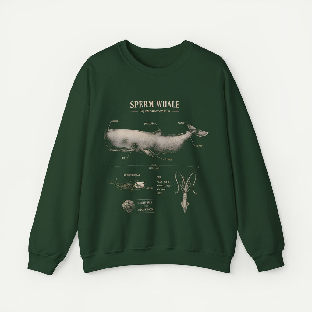 Sperm Whale Anatomy Sweatshirt — Vintage Marine Biology Illustration