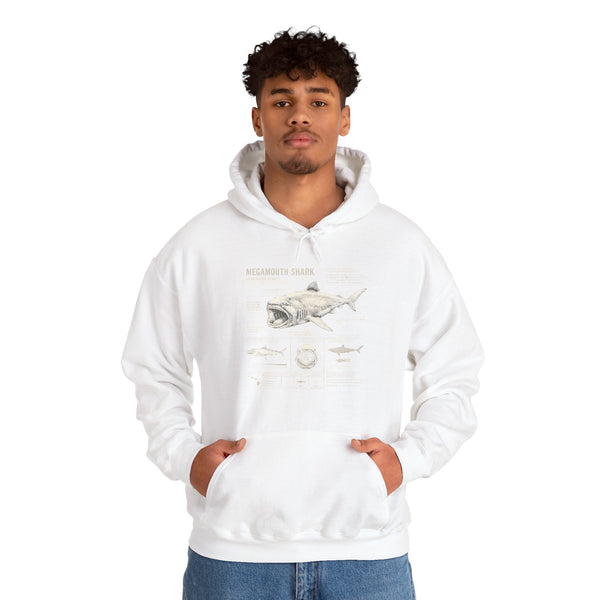 Shark Anatomy Hoodie — Vintage Megalodon Illustration Pullover