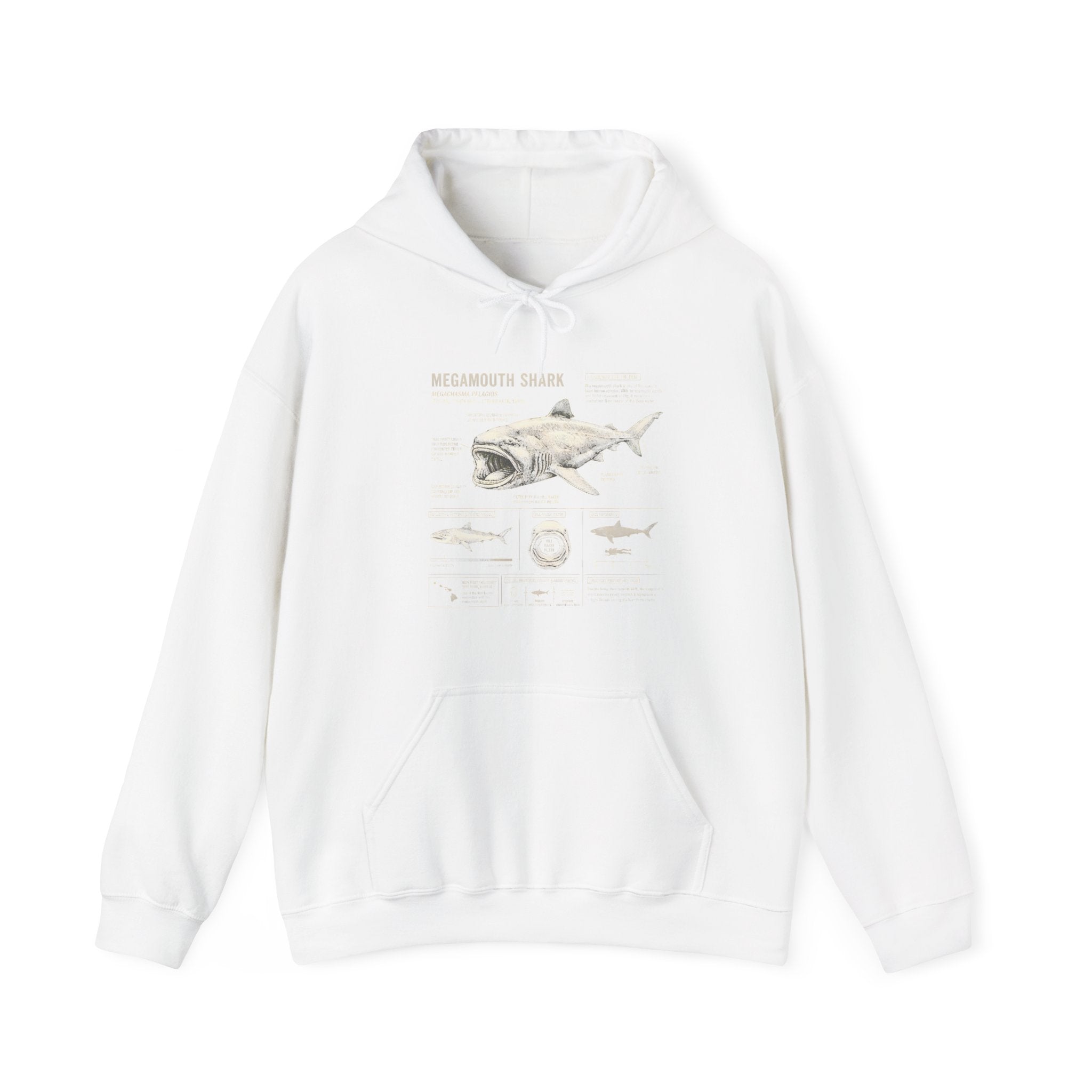 Shark Anatomy Hoodie — Vintage Megalodon Illustration Pullover Secondary image