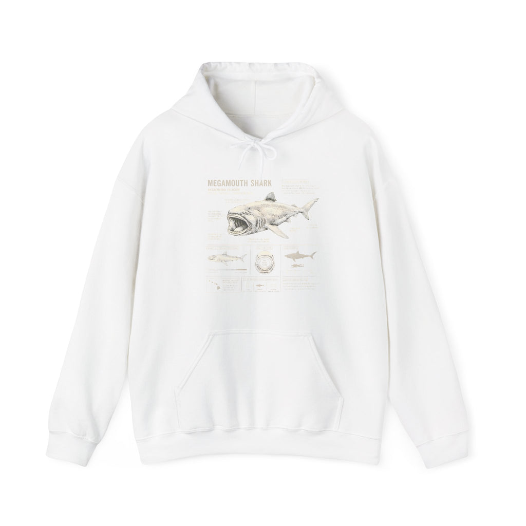 Shark Anatomy Hoodie — Vintage Megalodon Illustration Pullover