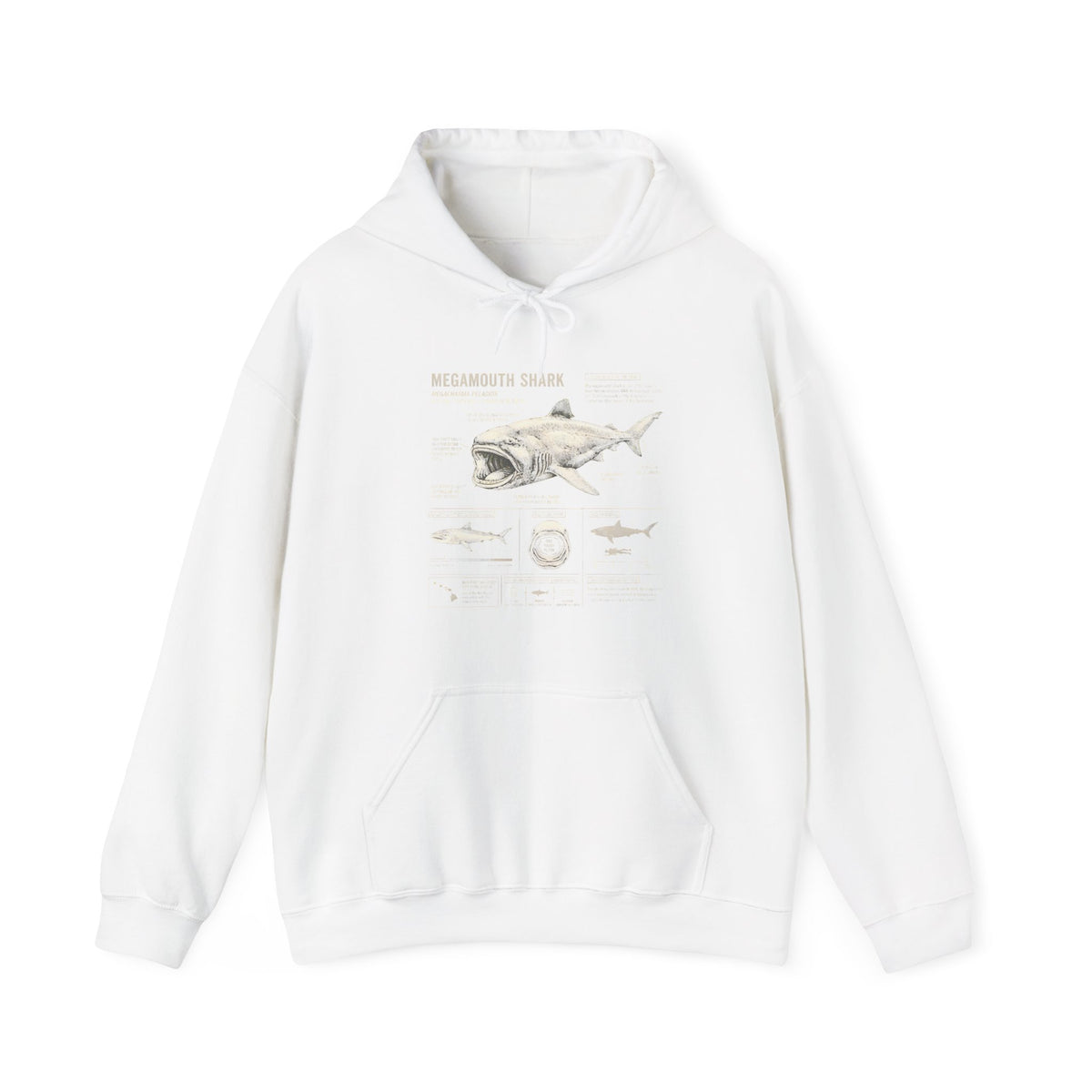 Shark Anatomy Hoodie — Vintage Megalodon Illustration Pullover