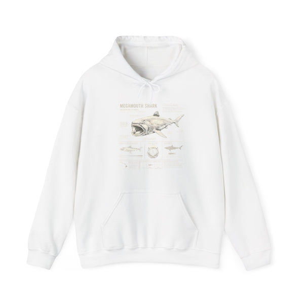 Shark Anatomy Hoodie — Vintage Megalodon Illustration Pullover
